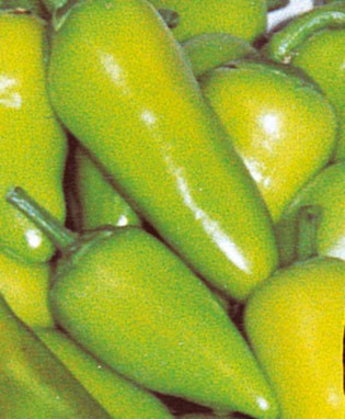 Fresno Chili Hot Pepper